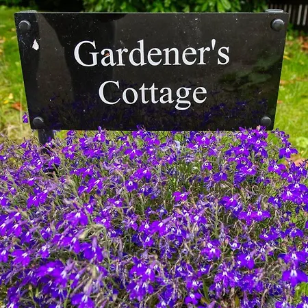 Tallentire Hall Dom wakacyjny *