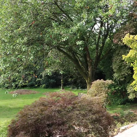 Tallentire Hall Dom wakacyjny Cockermouth