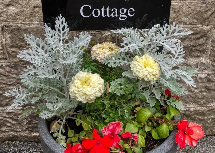 Tallentire Hall Holiday home *